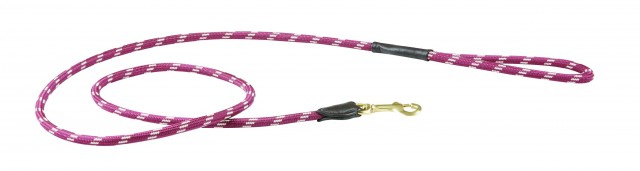 Weatherbeeta Rope Leather Dog Lead (Burgundy/Brown)