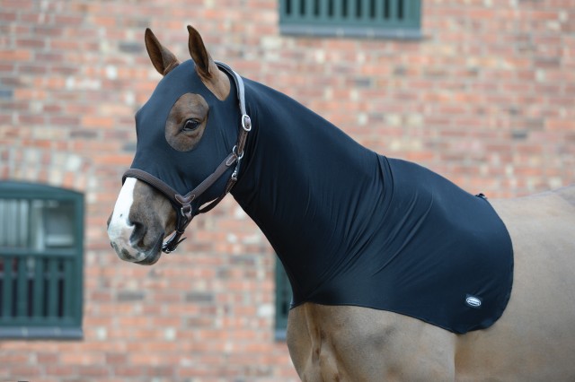 Weatherbeeta Stretch Hood (Black)