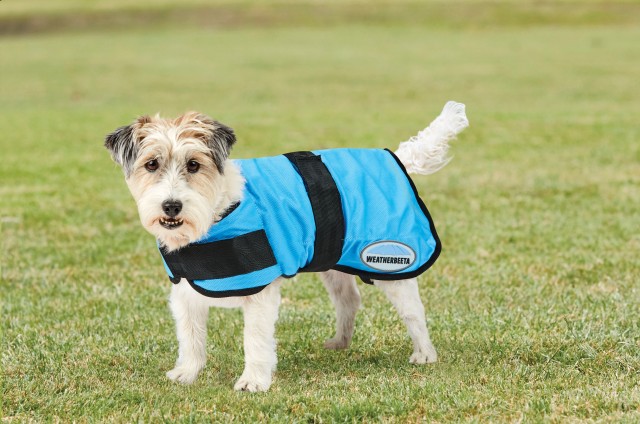 Weatherbeeta Therapy-Tec Cooling Dog Coat (Blue)