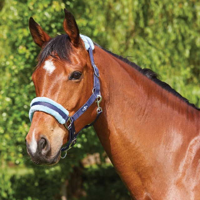 Saxon Element Fleece Headcollar (Navy/Blue)