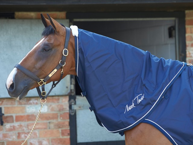 Mark Todd Horse Walker & Lunge Neck Cover (Navy)