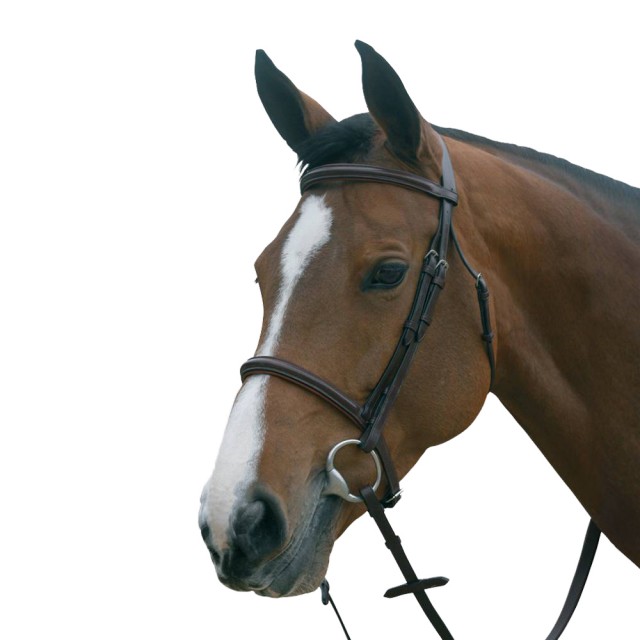 Mark Todd Plain Raised Bridle with Cavesson Noseband (Havana)