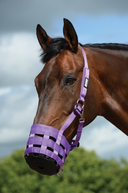 Roma Grazing Muzzle (Purple)