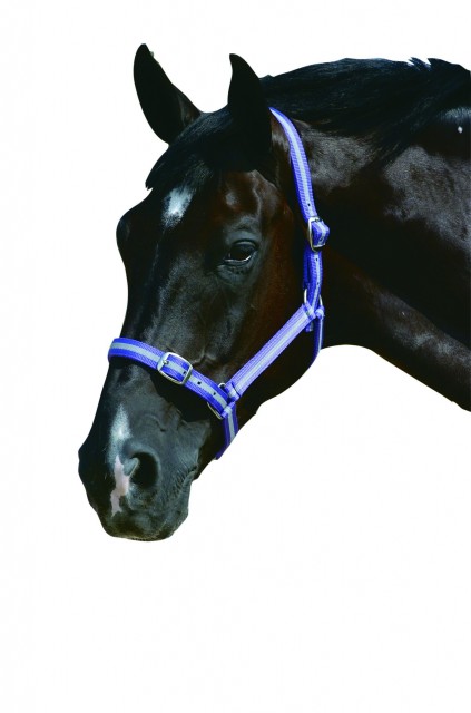 Roma Headcollar & Lead Set (Purple/Silver)