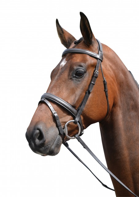 Kincade Padded Headpiece Flash Bridle (Brown)