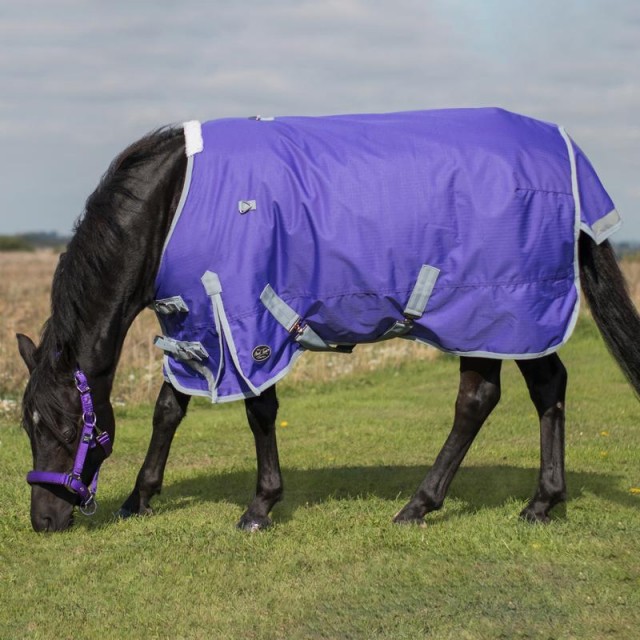 Mark Todd Medium Weight Pony Turnout Rug (Purple/Grey) Old Dairy Saddlery