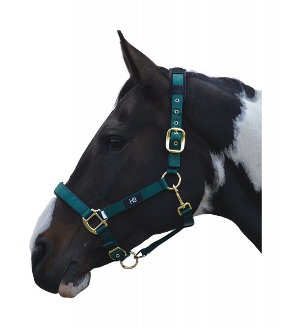 Hy Deluxe Padded Head Collar (Bottle Green)