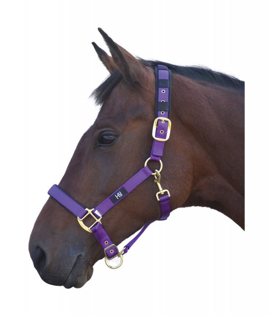 Hy Deluxe Padded Head Collar (Purple)