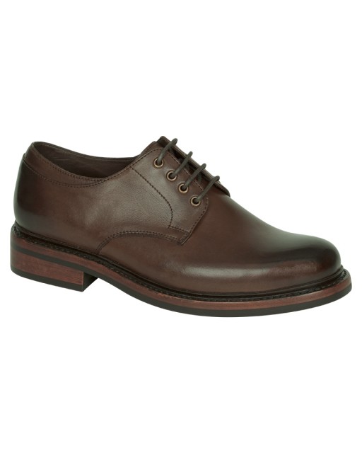 Hoggs of Fife Men's Troon Derby Shoes (Dark Brown)