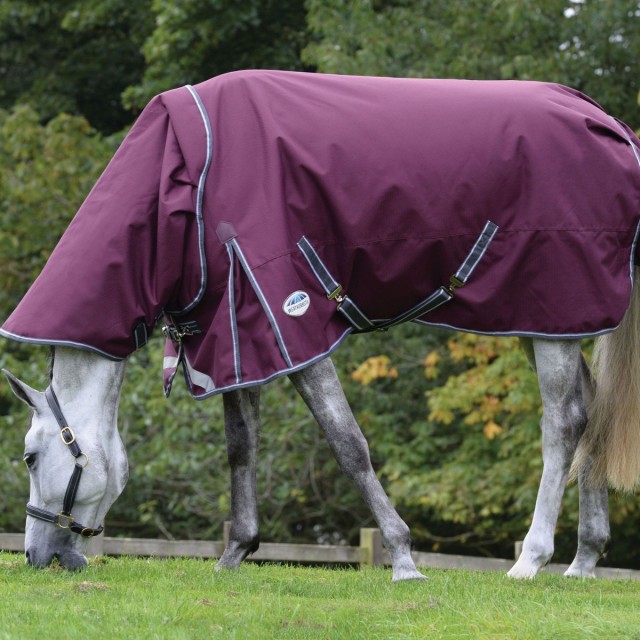 Weatherbeeta ComfiTec Plus Dynamic II Turnout Detach Neck 100g Med/Lite (Maroon)