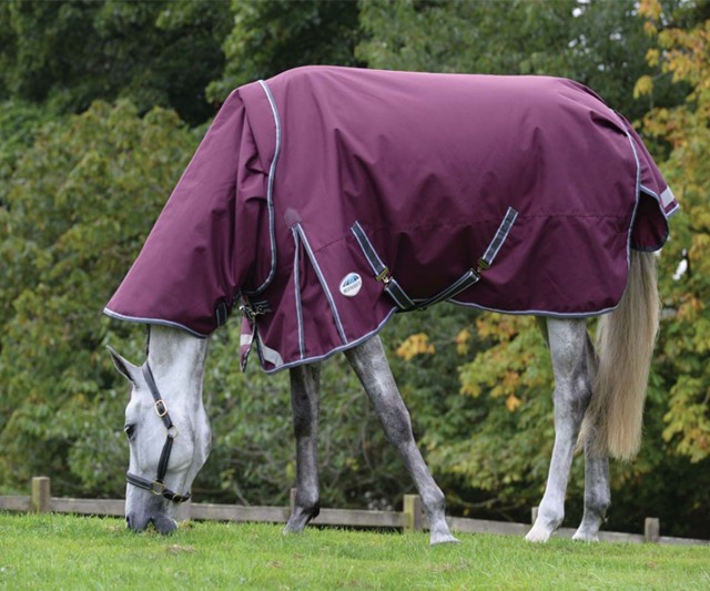 Weatherbeeta ComfiTec Plus Dynamic II Turnout Detach Neck 220g Mediumweight Turnout (Maroon)