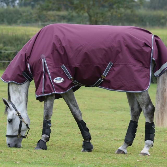 Weatherbeeta ComfiTec Plus Dynamic II Turnout Combo 220g Medium (Maroon)