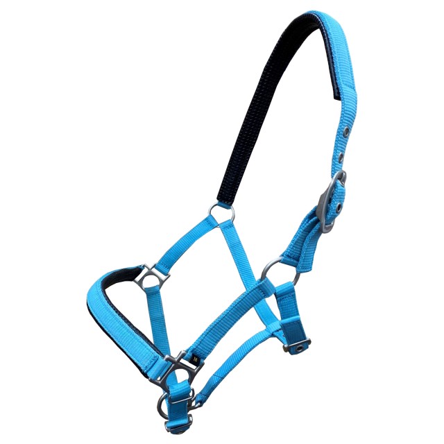 Head collar sale