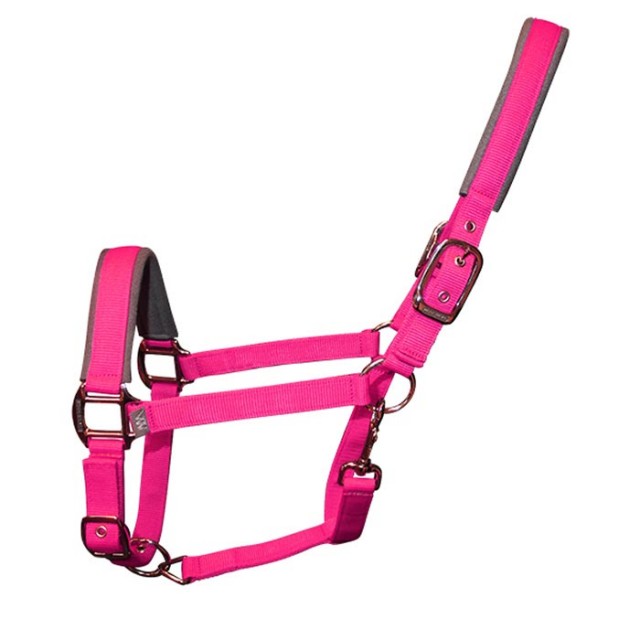 Woof Wear Contour Head Collar (Berry)