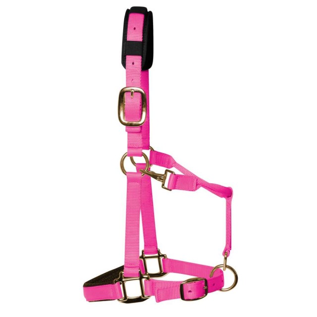 KM Elite Padded Headcollar (Hot Pink)