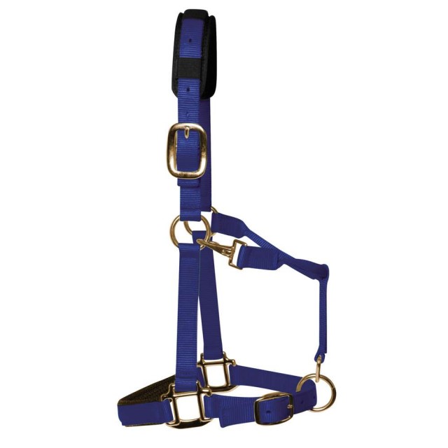 KM Elite Padded Headcollar (Royal Blue)