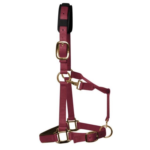 KM Elite Padded Headcollar (Burgundy)