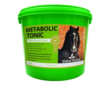 Global Herbs Metabolic Tonic