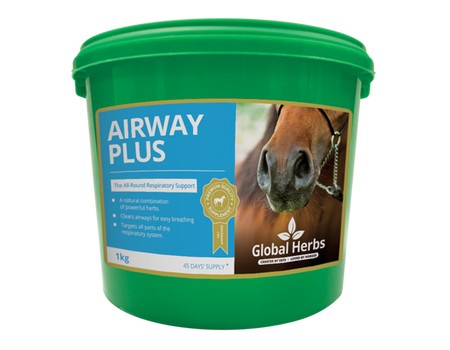 Global Herbs Airway Plus Powder