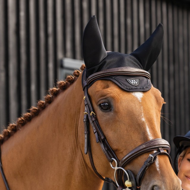 Woof Wear Noise Cancelling Fly Veil (Black)