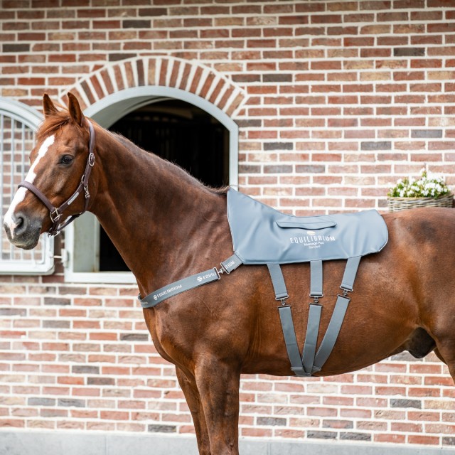 Equilibrium Massage Pad