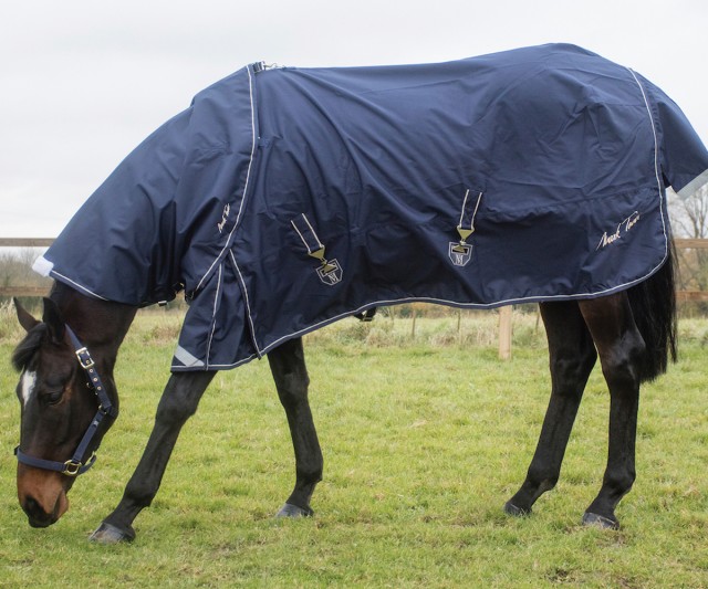 Mark Todd Lightweight Turnout Rug (Navy & Beige) - No Neck