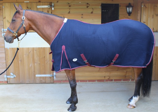 JHL (Clearance) Waffle Weave Rug (Navy & Burgundy)