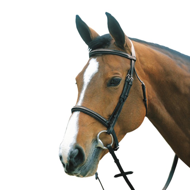 Mark Todd Plain Raised Bridle with Cavesson Noseband (Black)