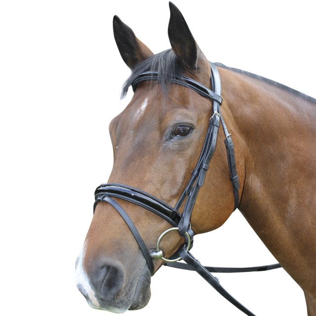 Mark Todd Performance Patent Piped Flash Bridle (Black)