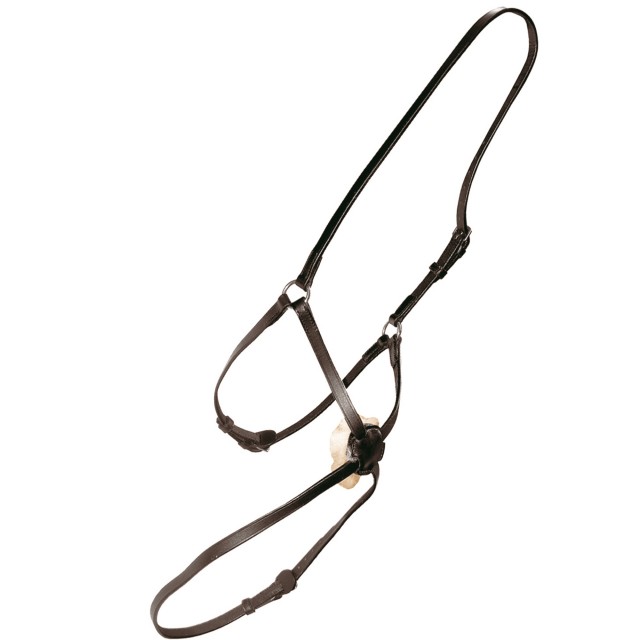 JHL Mexican Grackle Noseband (Brown)