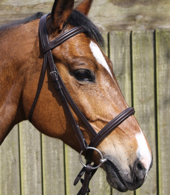 JHL Raised Cavesson Bridle (Brown)