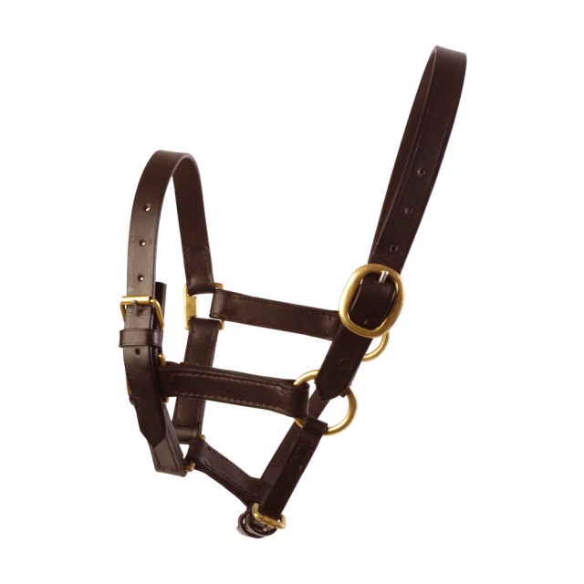 JHL Leather Foal Headcollar (Brown)