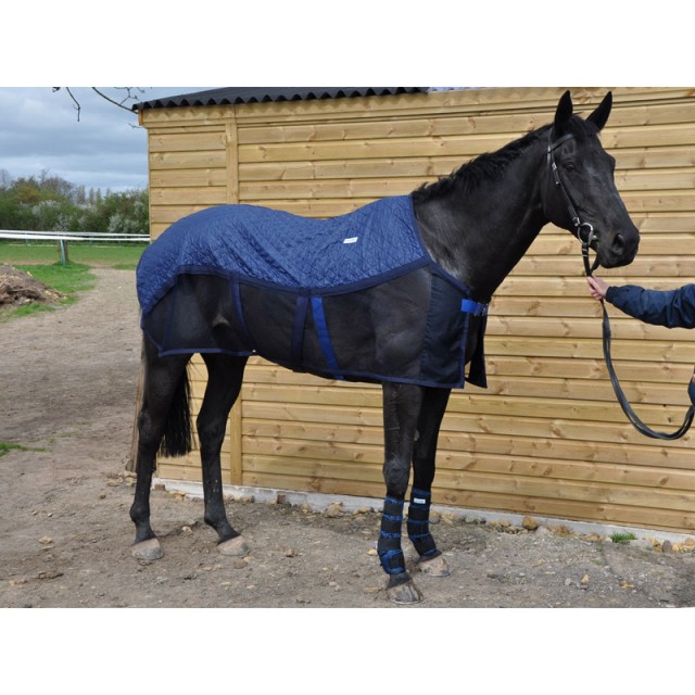 AeroChill Horse Cooling Rug