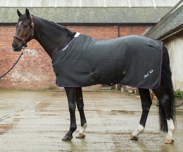 Mark Todd Coolex Cooler Rug (Grey & Plum)