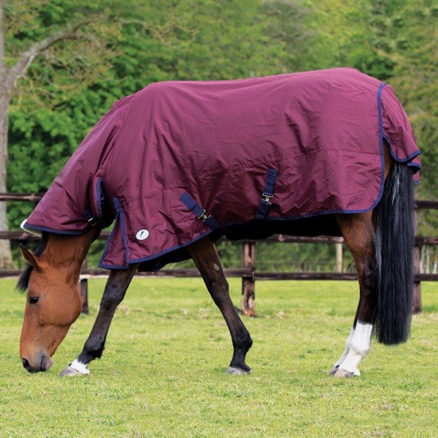 JHL (Clearance) Essential Mediumweight Combo Turnout Rug (Burgundy & Navy)