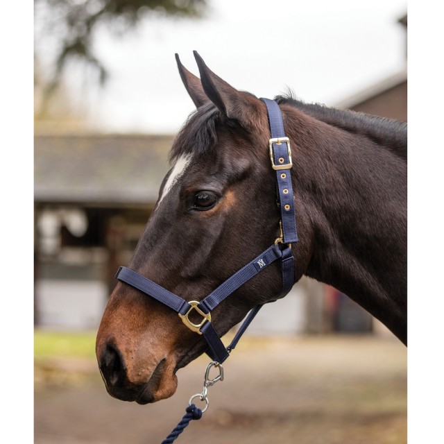 Mark Todd Turnout Safety Headcollar (Black)