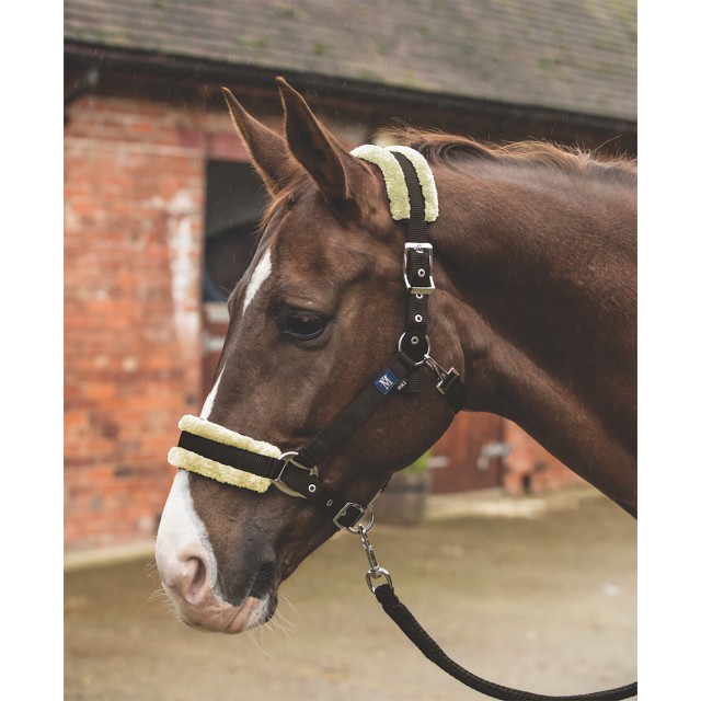 Mark Todd Fleece Lined Headcollar with Lead Rope (Brown/Natural)