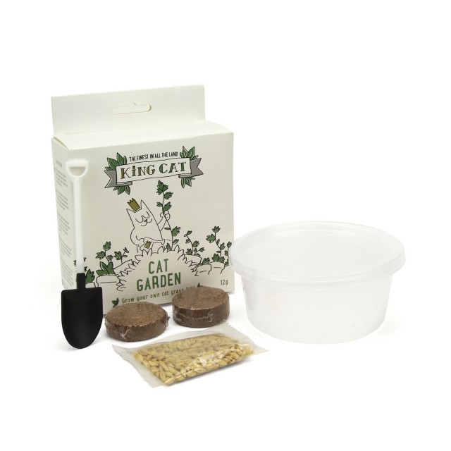 King Catnip Cat Grass Kit