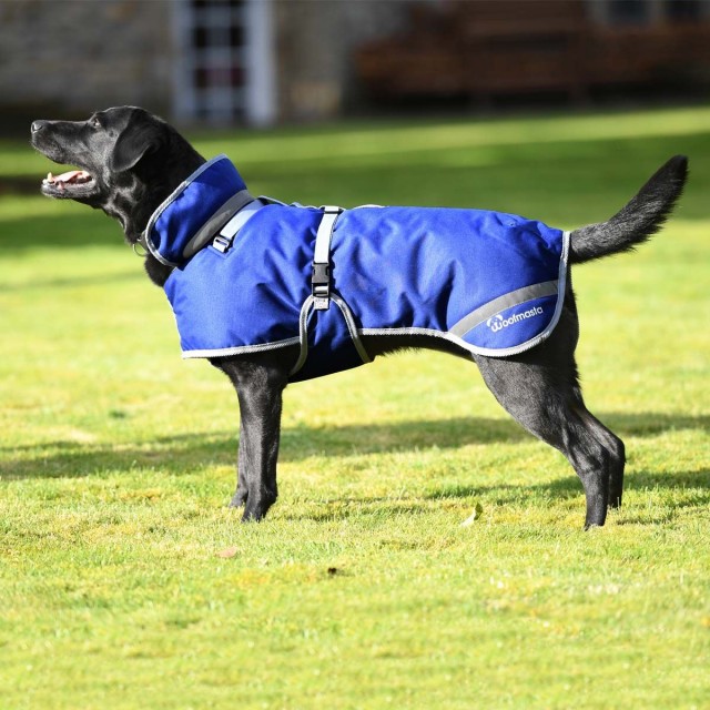 Woofmasta Deluxe Dog Coat (Navy) Old Dairy Saddlery