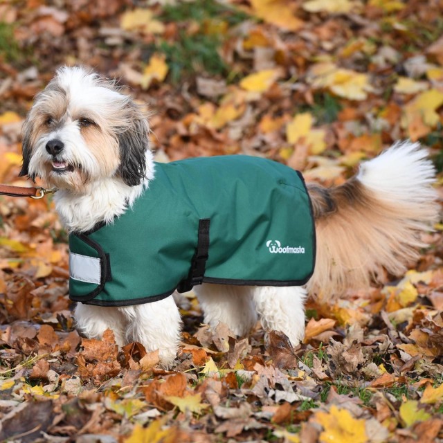 Woofmasta Dog Waterproof Coat  (Green)