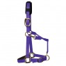 KM Elite Padded Headcollar (Purple)