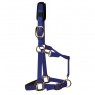 KM Elite Padded Headcollar (Royal Blue)