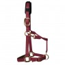 KM Elite Padded Headcollar (Burgundy)