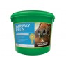 Global Herbs Airway Plus Powder